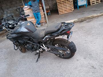 Benelli TRK 502 - 2024