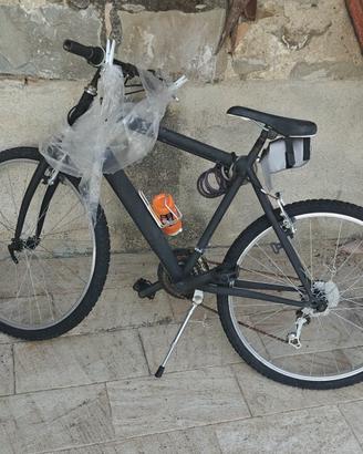 Mountain bike 