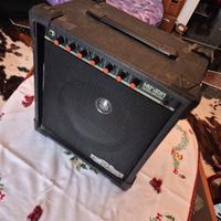 Amplificatore ARIA modello AG-35R