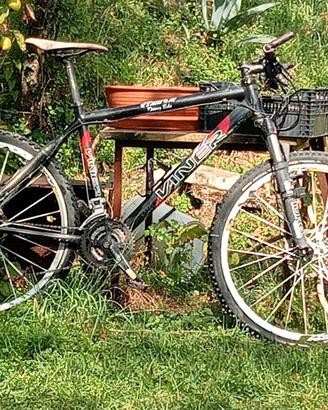 MTB viner