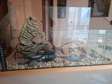 Tartarughiera grande con accessori