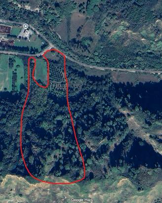 Terreno agricolo 40.000mq