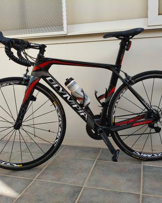 Bici da corsa