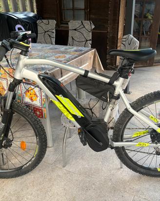 Ebike