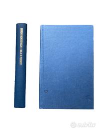 Libro romanzo L’ idea di perderti