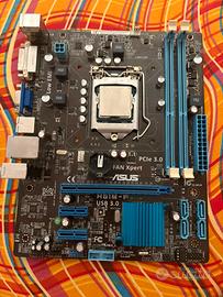 Scheda Madre Asus H61M-F
