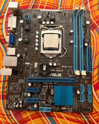 Scheda Madre Asus H61M-F