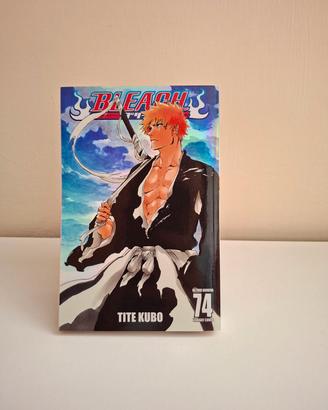 Bleach variant vol.74