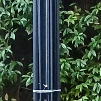 due ombrelloni da giardino senza teli