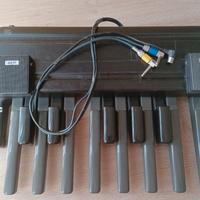 Gem Pedalboard Für WK, Oder WX Keyboard 