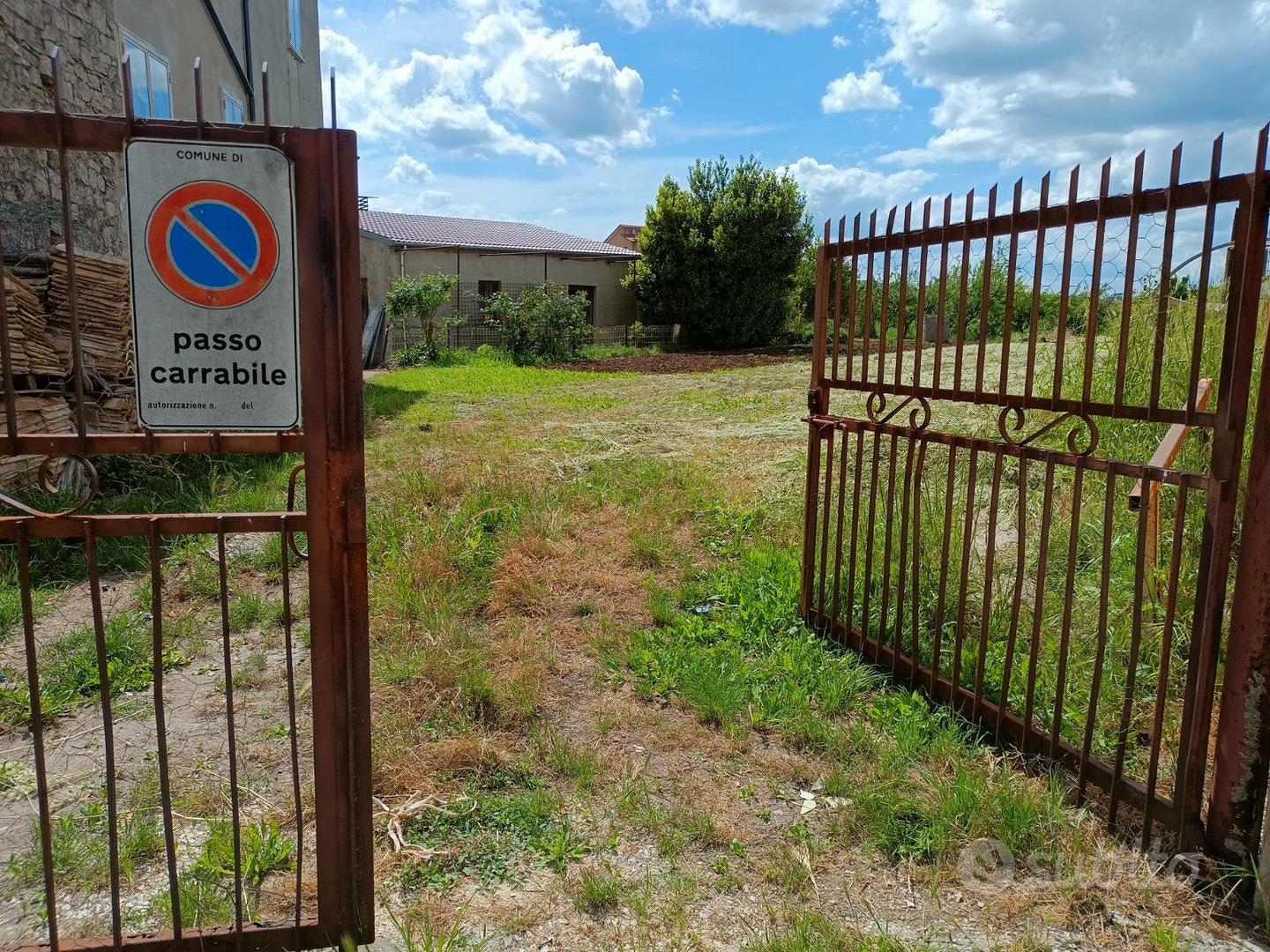 Riccia, Via Feudo – terreno B2 con frutteto - Vista 2