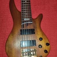 Ibanez SDGR SR1306