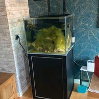 Acquario VIV Marine + mobile supporto
