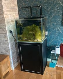 Acquario VIV Marine + mobile supporto