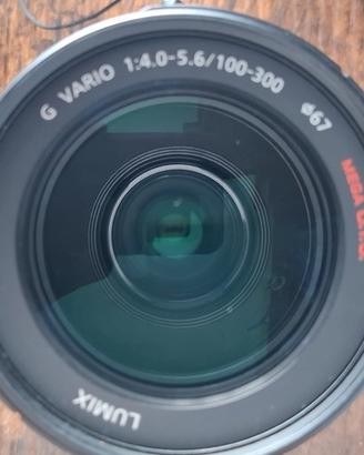 Panasonic Lumix G Vario 100-300 mm f/4,0-5,6