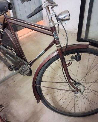Biciclette una maschile e una femminile