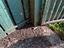 Immagine 26