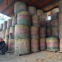 Fieno balloni