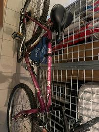 bici adulto