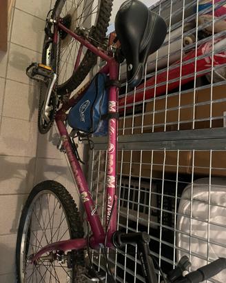 bici adulto
