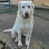 Perla meraviosa maremmana