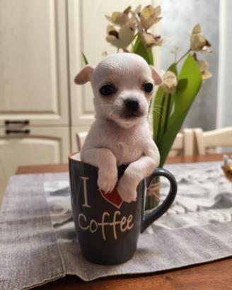 Chihuahua toy