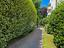 Immagine 22