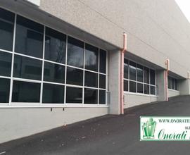 CELLE FRIGO MQ 2.775 ROMA, ZONA TOR CERVARA, Rif.