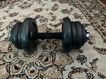Pesi da 20kg