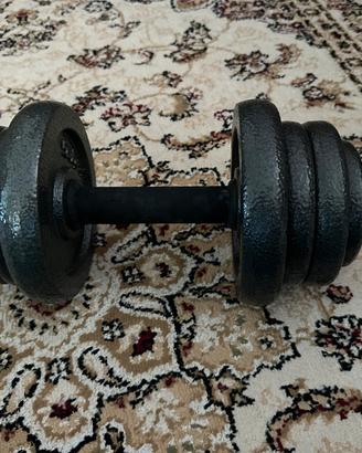Pesi da 20kg
