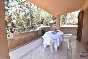 Villetta con veranda e giardino - Costa Paradiso