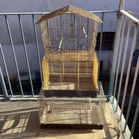 Gabbie per uccelli