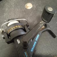 mulinello Abu cardinal