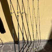Canne da pesca Black Cat