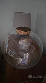 terrario tondo in vetro con tappo di sughero 37cm