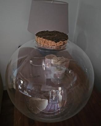 terrario tondo in vetro con tappo di sughero 37cm