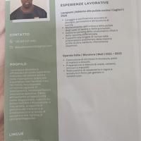 Operaio muratore