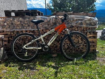 Bici ragazzo