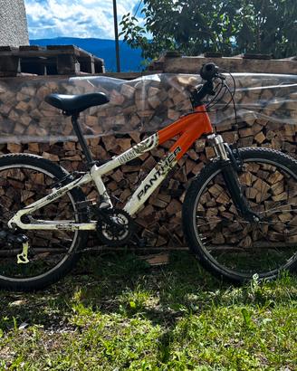 Bici ragazzo
