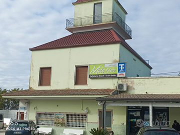 Azienda commerciale pluri-attività