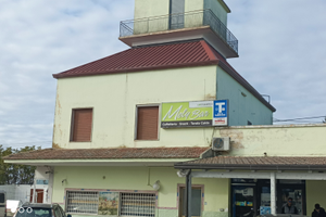 Azienda commerciale pluri-attività