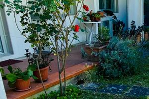 Ampio appartamento con giardino privato