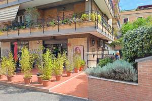 Monolocale zona gemelli - m.te mario alto