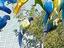 Immagine 4