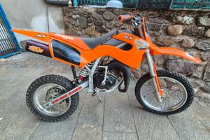 minimoto malaguti grizzly 12/14 pollici