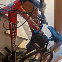 Bottecchia MTB