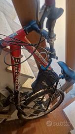 Bottecchia MTB