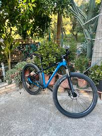 Mtb 29”