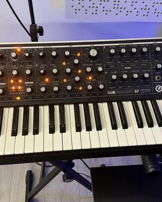 MOOG SUBSEQUENT 37
