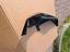 Immagine 22